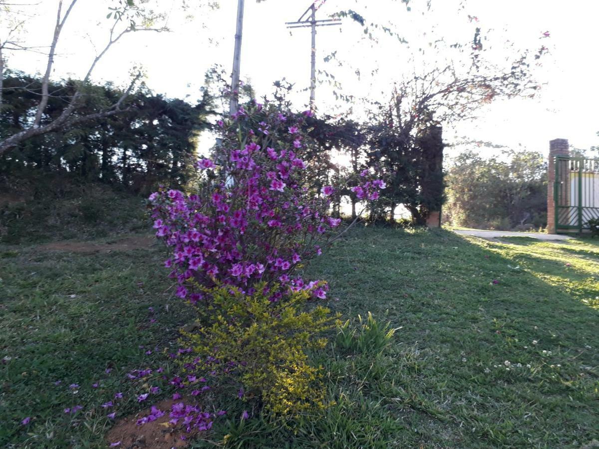 Chales Canto Dos Passaros Monte Verde  Exterior foto